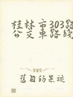 桂林市303路公交车路线图