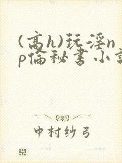 (高h)玩淫np伦秘书小说