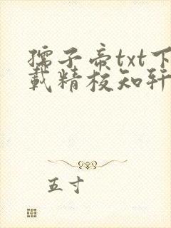 孺子帝txt下载精校知轩