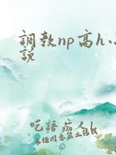 调教np高h小说