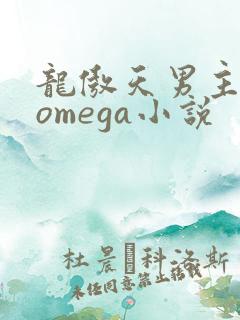 龙傲天男主是个omega小说 龙傲天男主是个omega小说