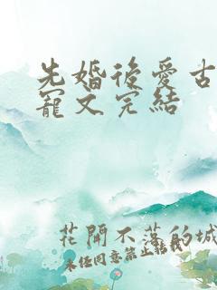 先婚后爱古言甜宠文完结