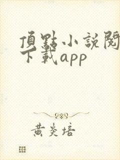 顶点小说阅读器下载app 顶点小说阅读器下载app