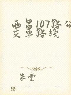 西昌107路公交车路线
