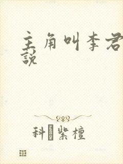 主角叫李君的小说
