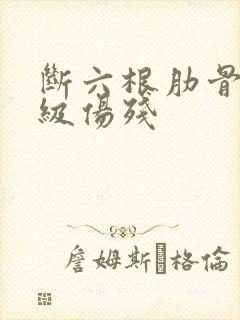 断六根肋骨评几级伤残