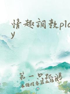情趣调教play 情趣调教play