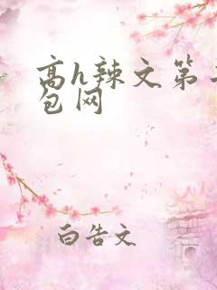 高h辣文第二书包网
