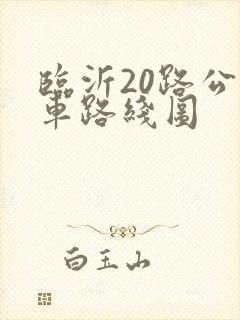临沂20路公交车路线图 临沂20路公交车路线图