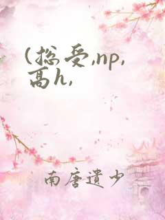 (总受,np,高h,