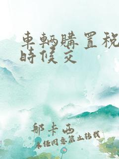 车辆购置税什么时候交