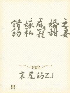 错嫁成婚之总裁的私宠甜妻完整版