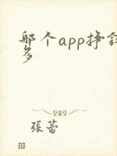 哪个app挣钱多