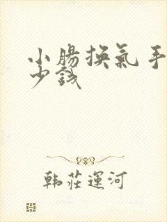 小肠换气手术多少钱