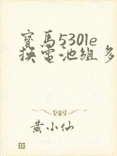 宝马530le换电池组多少钱