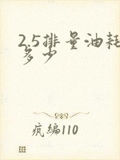 2.5排量油耗多少