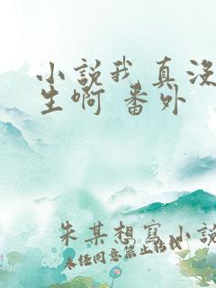 小说我真没想重生啊 番外