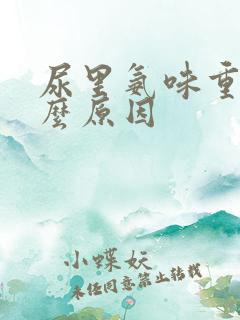尿里氨味重是什么原因