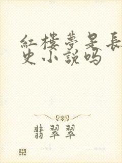 红楼梦是长篇历史小说吗