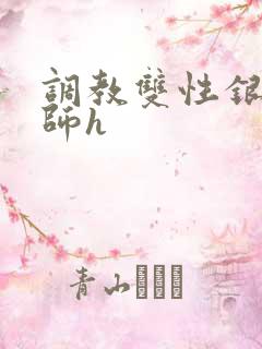 调教双性银国国师h