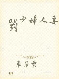 av少妇人妻系列
