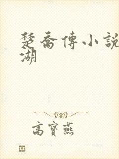 楚乔传小说 冰湖