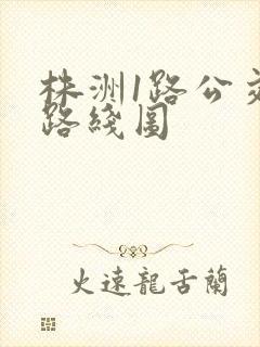 株洲1路公交车路线图