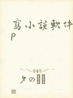 写小说软件app