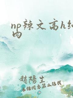 np辣文高h纯肉
