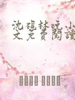 沈砚林晚小说全文免费阅读