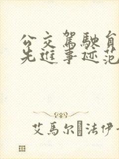 公交驾驶员个人先进事迹范文