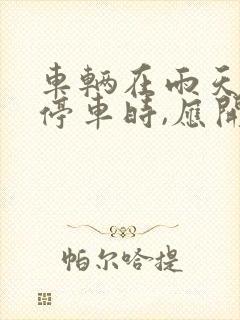 车辆在雨天临时停车时,应开启什么灯 车辆在雨天临时停车时,应开启什么灯