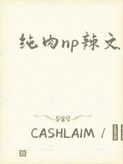 纯肉np辣文h 纯肉np辣文h