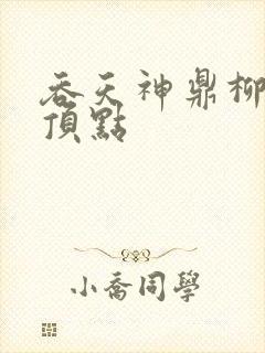 吞天神鼎柳无邪顶点