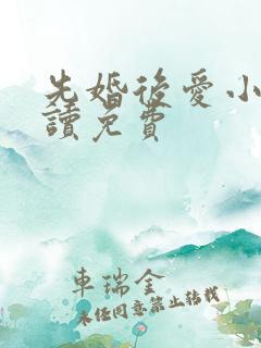 先婚后爱小说阅读免费