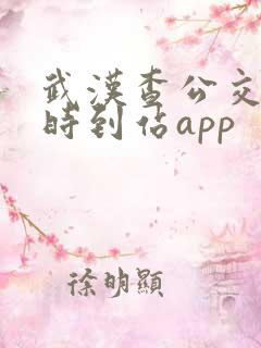 武汉查公交车实时到站app