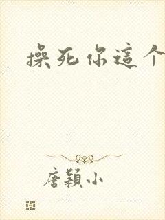 操死你这个母狗