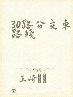 30路公交车站路线