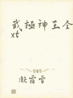 武极神王全文txt
