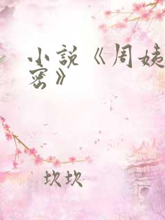 小说《周姨的秘密》