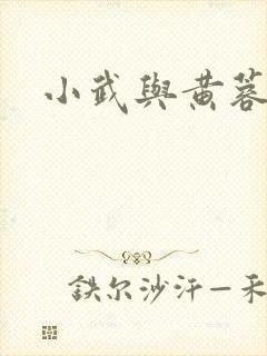 小武与黄蓉