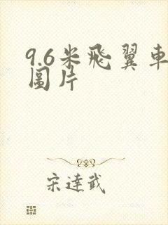 9.6米飞翼车图片