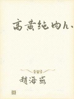 高黄纯肉h小说