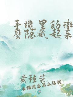 手机里的微信怎么隐藏起来