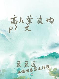 高h荤爽肉〈np〉文