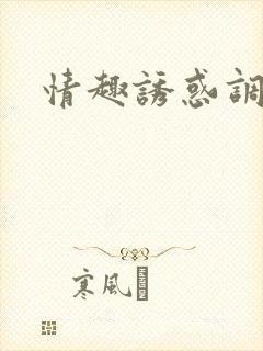 情趣诱惑调教