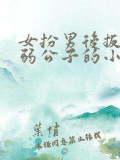 女扮男后扳弯病弱公子的小说