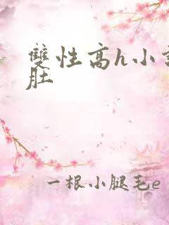 双性高h小说大肚