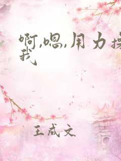 啊,嗯,用力操我