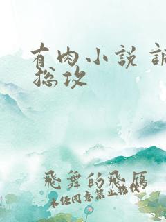 有肉小说 调教 总攻